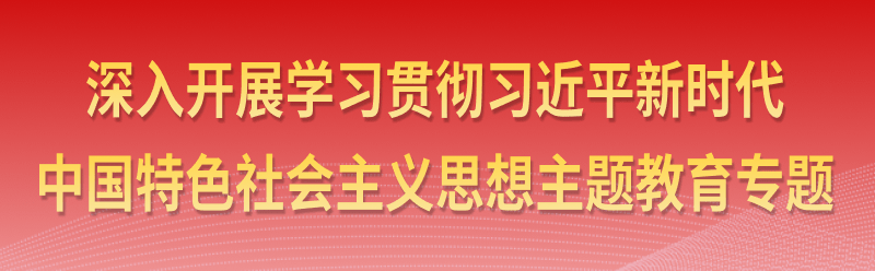 深入開展學習貫徹習近平新時代中國特色社會主義思想主題教育專題
